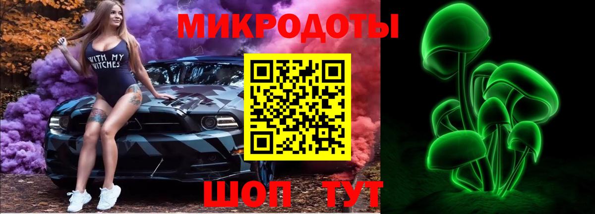 Выборг  Псилоцибиновые грибы Psilocybe  Вход с VPN 